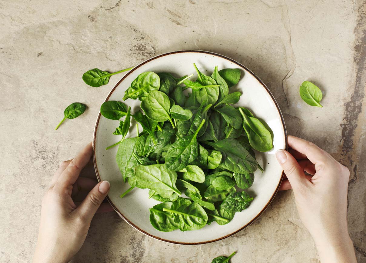 spinach leaves on a plate