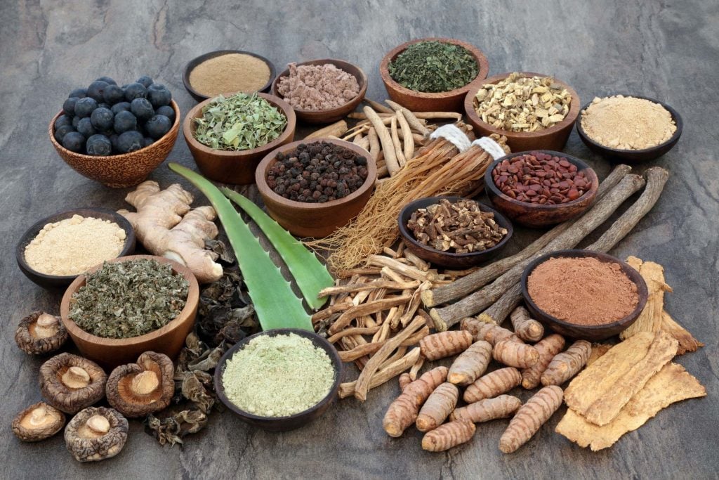 Collection of adaptogen types