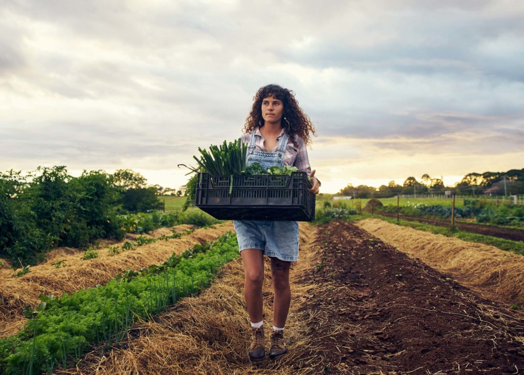 Woman carrying a box of certified organic produce on a farm