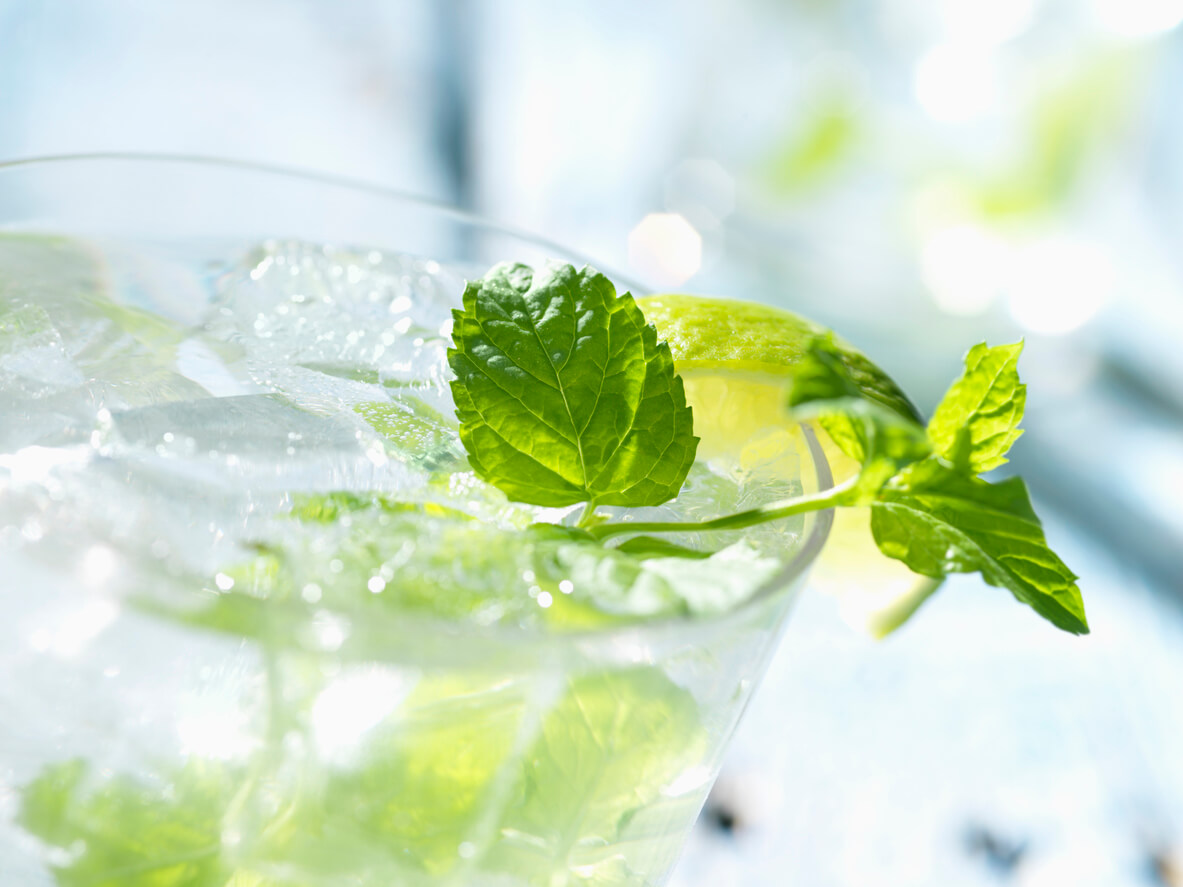 mojito with white rum mint and lime
