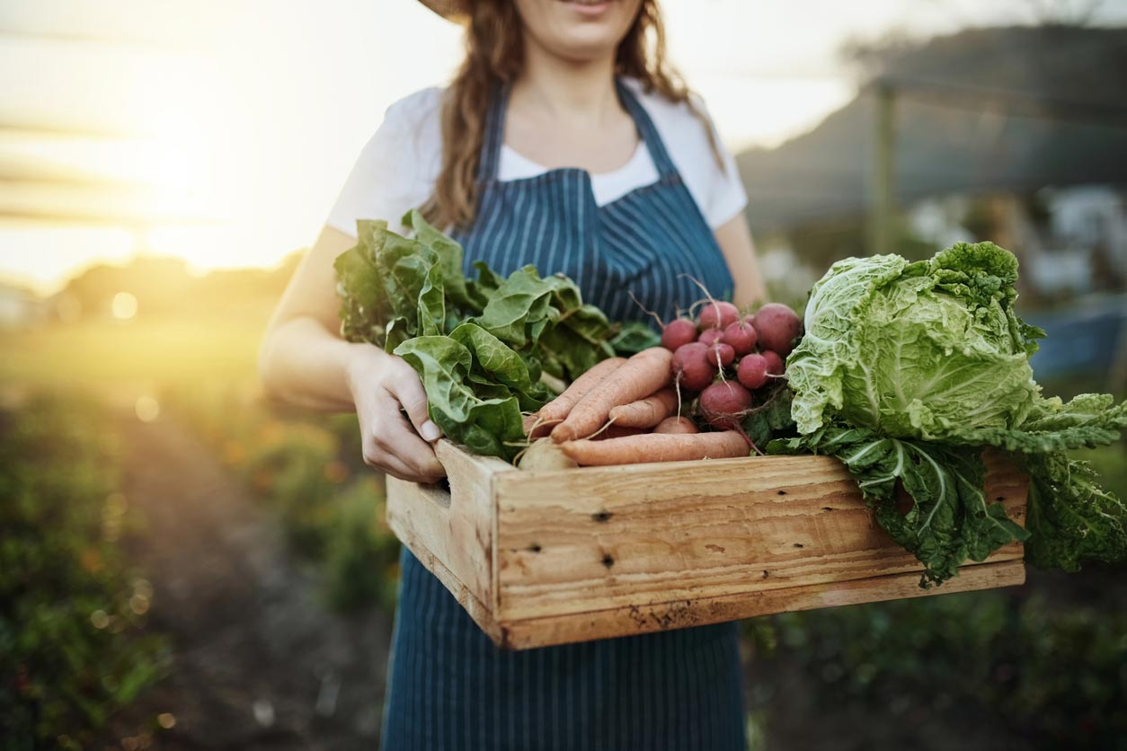 woman carrying vegetable harvest box