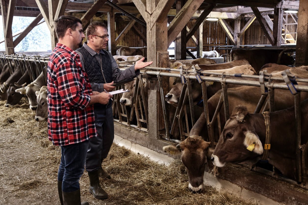 regenerative agriculture practices on cows