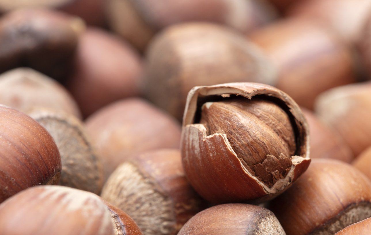 Hazelnut Health Benefits: Hazelnuts for Weight Loss, Diabetes and