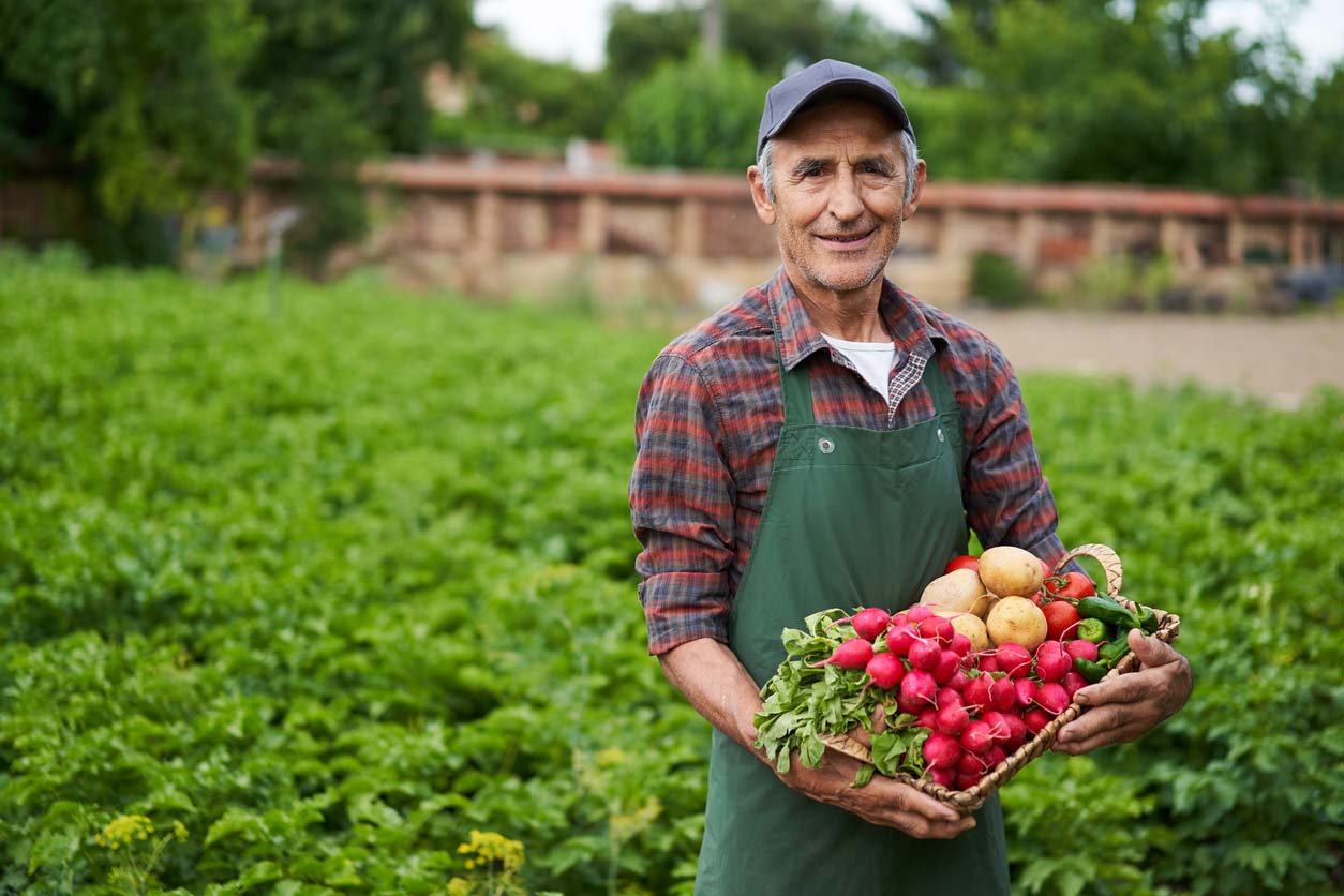 Farmer carrying fresh picked vegetables