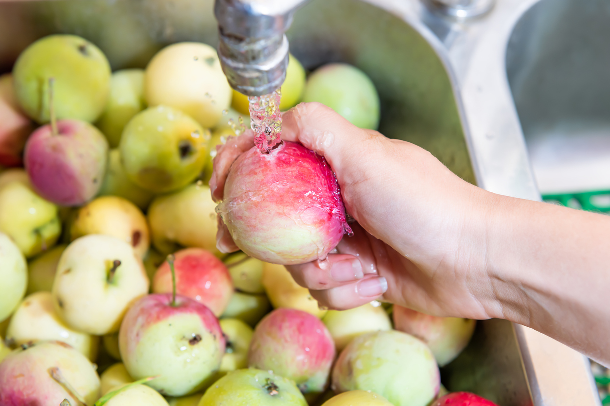 Many green yellow or pink lady apples or sink with hand washing one faucet showing detail and texture for processing in home stainless steel