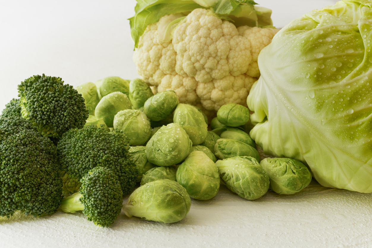 Cabbage Family. Brussels Sprouts, Cauliflower, Green Cabbage, Broccoli on White