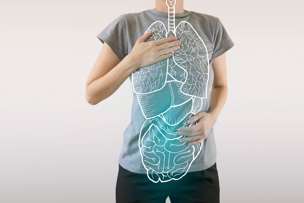 internal organs graphic on top of body