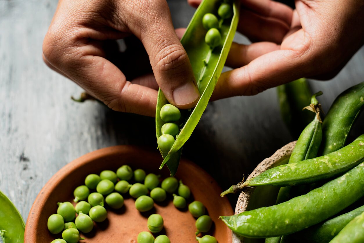 caucasian man shelling peas