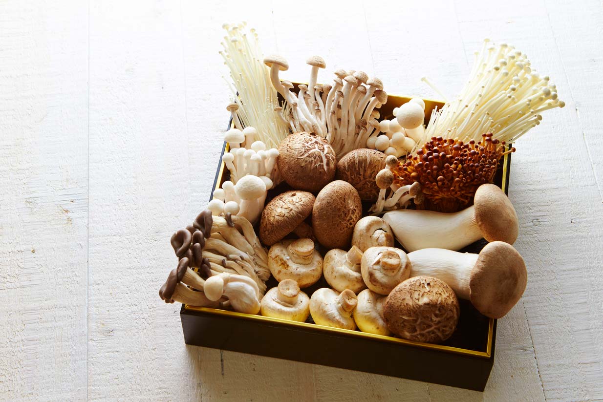 variety of mushrooms in a tray