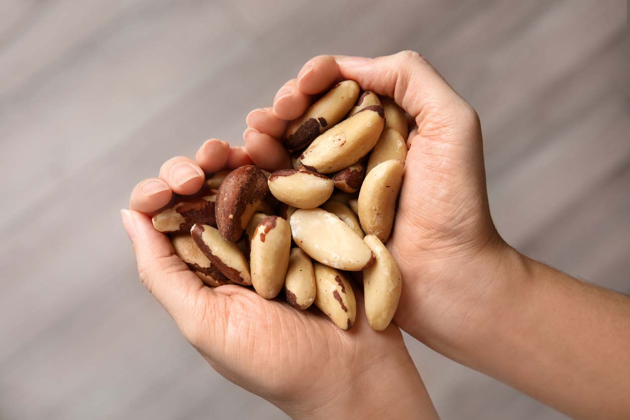 Hands holding brazil nuts: Selenium helps anxiety