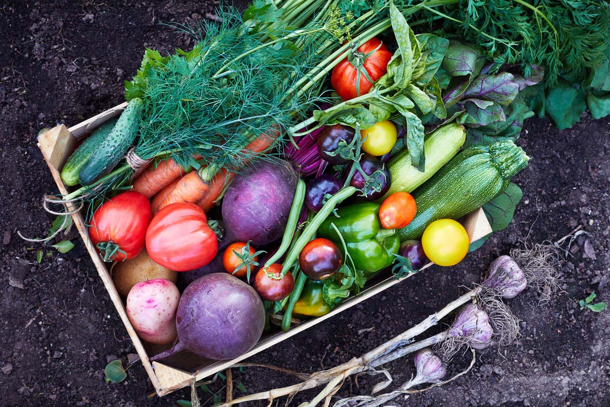 Organic vegetables in a box