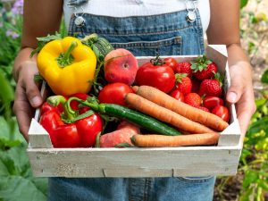 What Is A CSA? Types, Pros And Cons, And How To Join A CSA