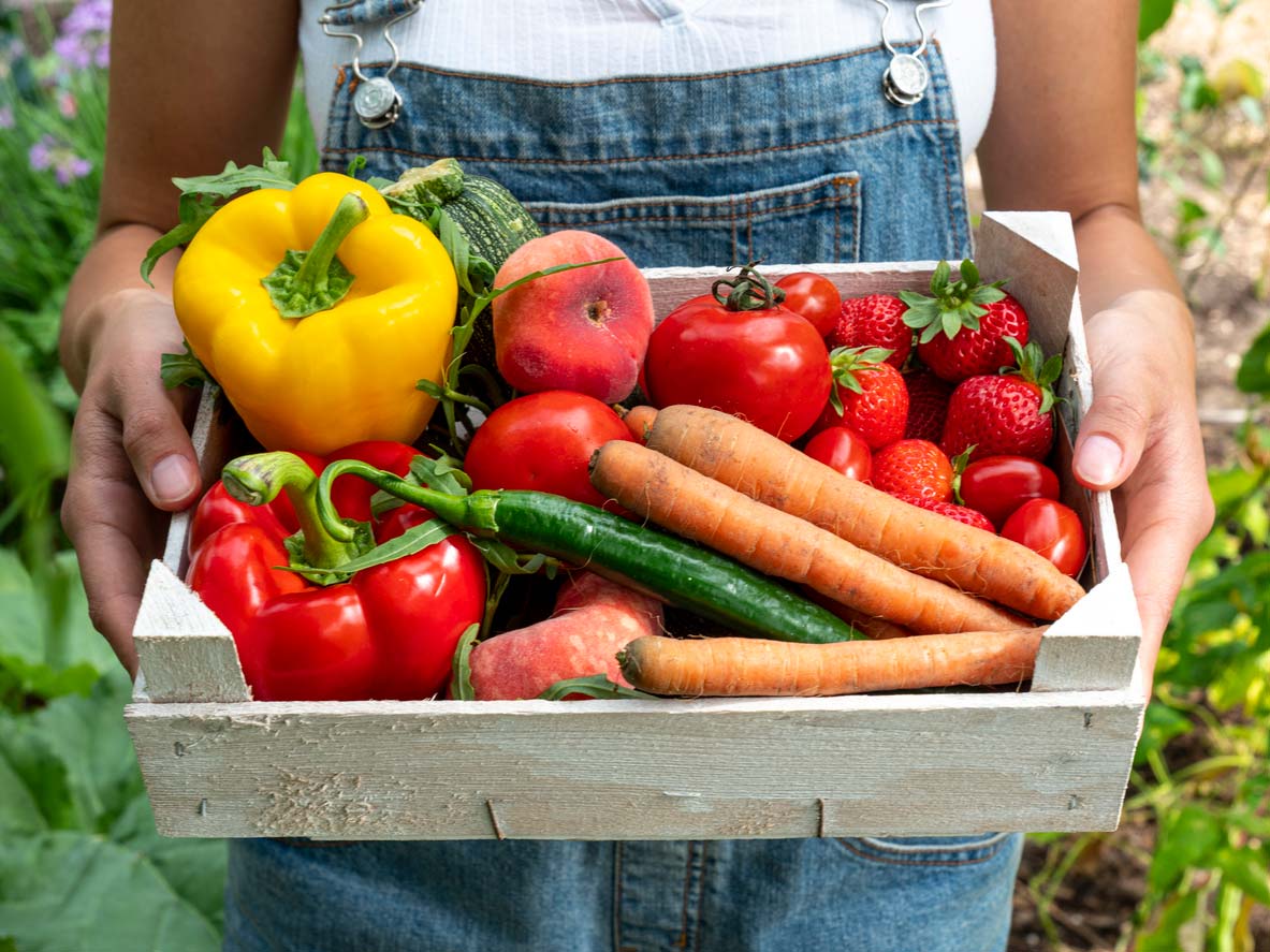 A small CSA box