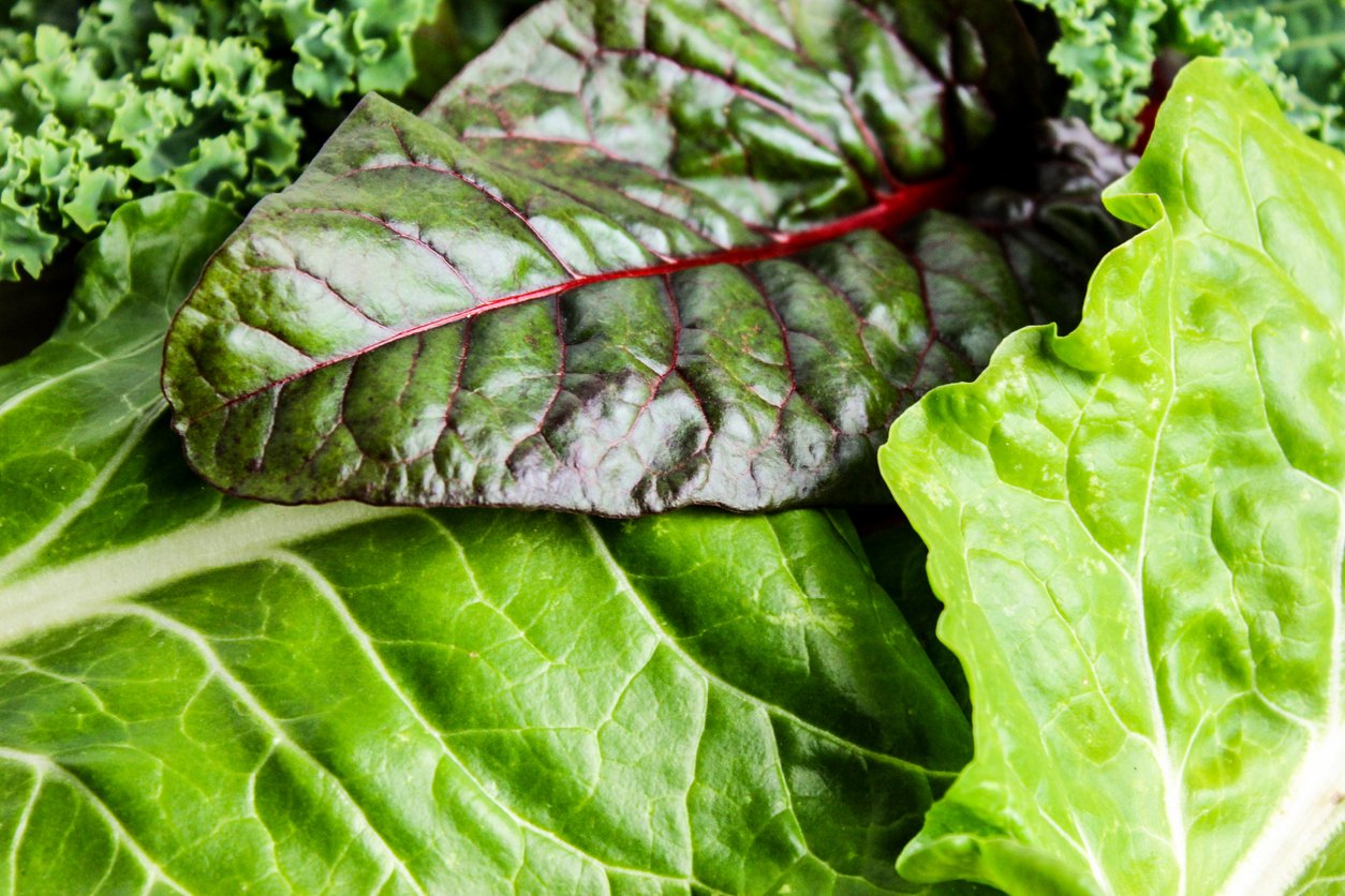 Mix of Lettuce, Chard and Kale