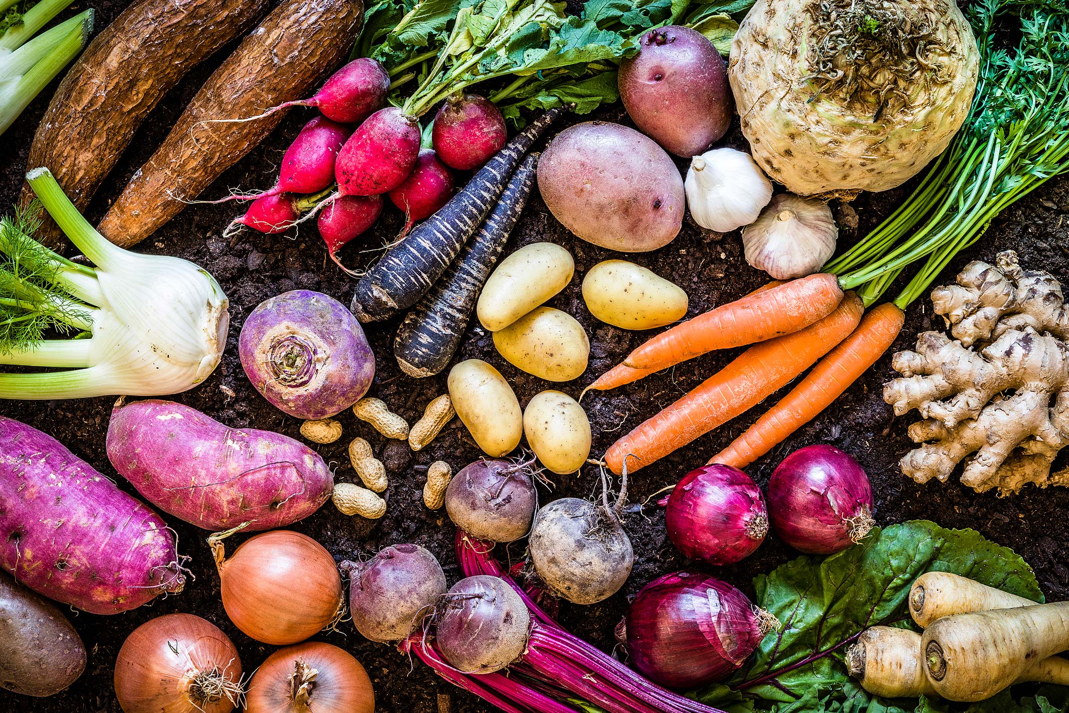 MyAgroWorld Connecting Farmers Agro Stores Buyers And Sellers Buy 