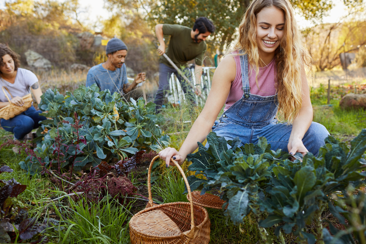 Smiling woman and a diverse group of friends working together in their vegetable garden on a farm