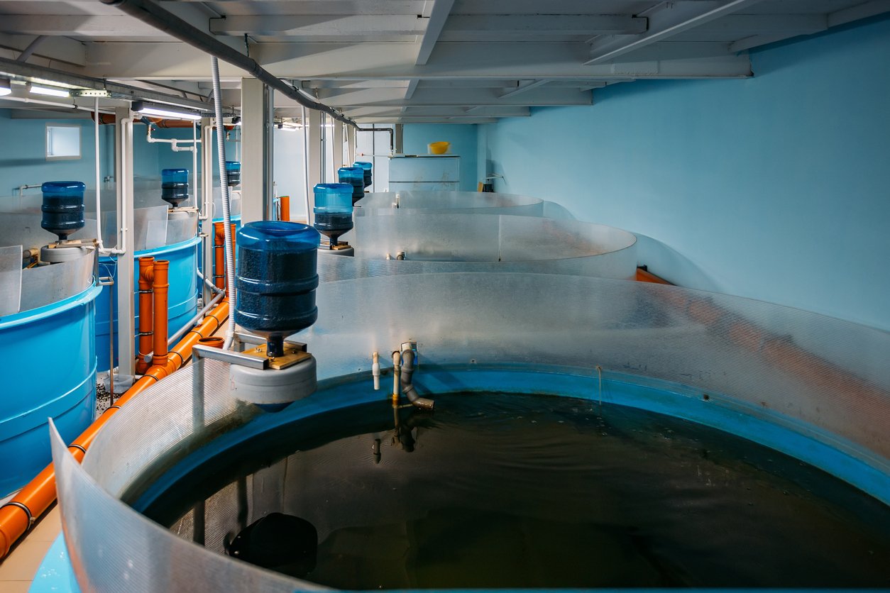 Modern fish farm with closed water circulation supply