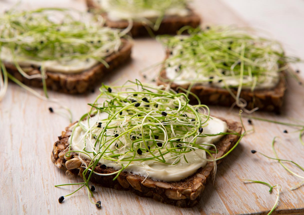 sprouts on vegan sandwich