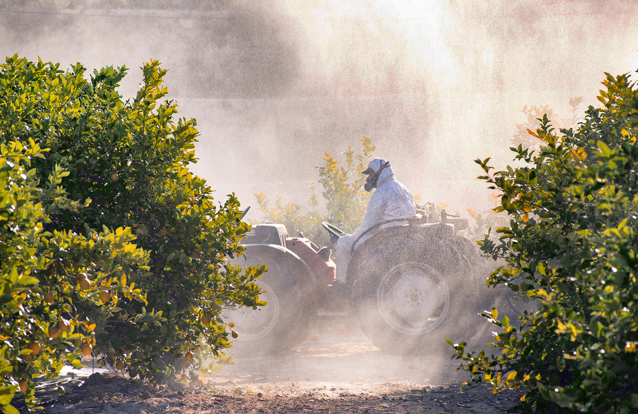 Tractor spraying pesticide on lemon plantation in Spain.