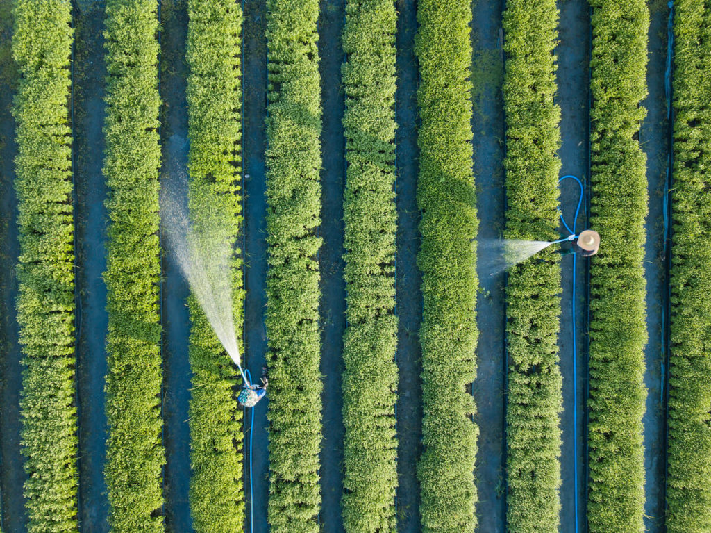 Water irrigation on an agricultural field