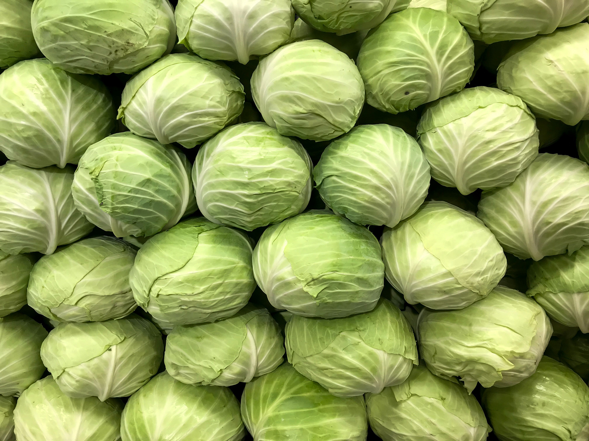 Green cabbage stacked in store