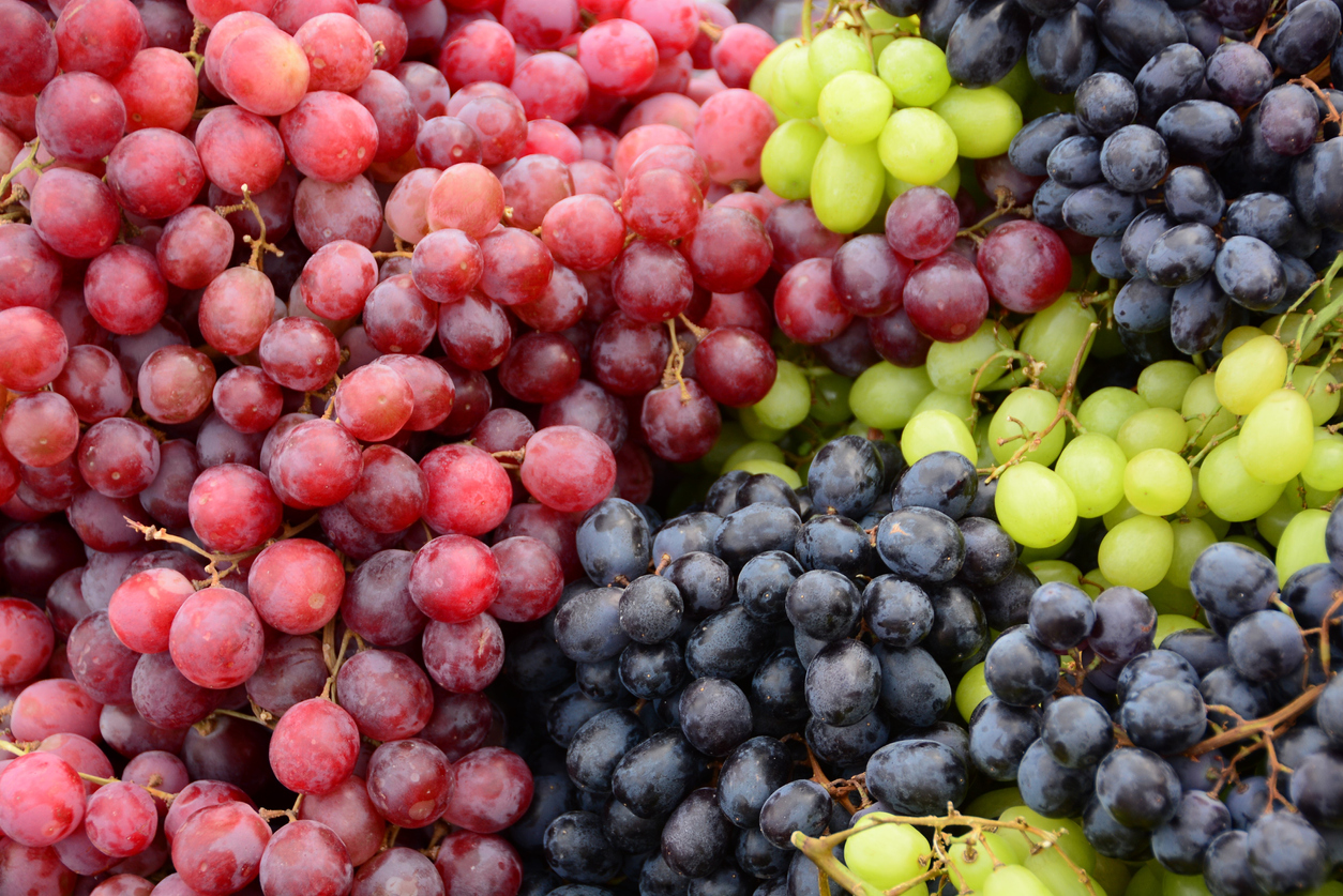 Bunch of organic grapes.