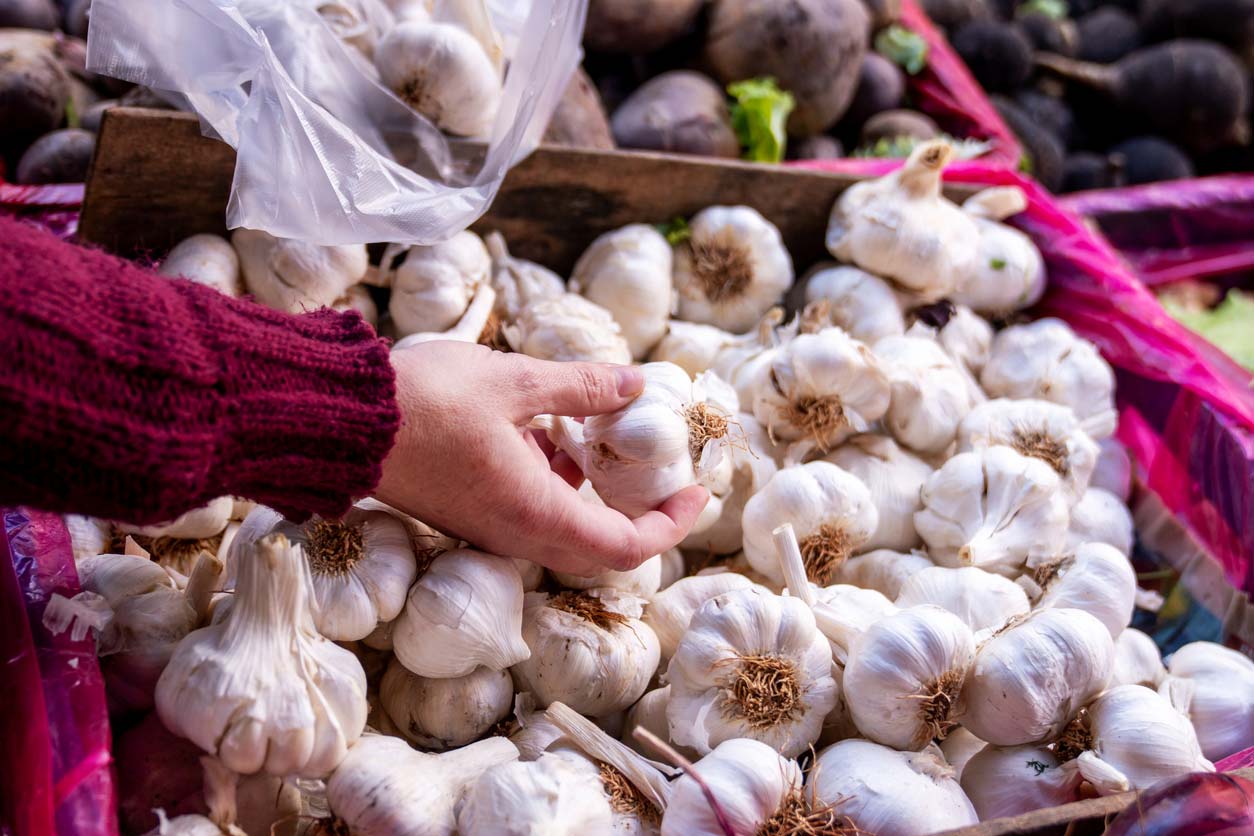 Selecting garlic bulbs at a market