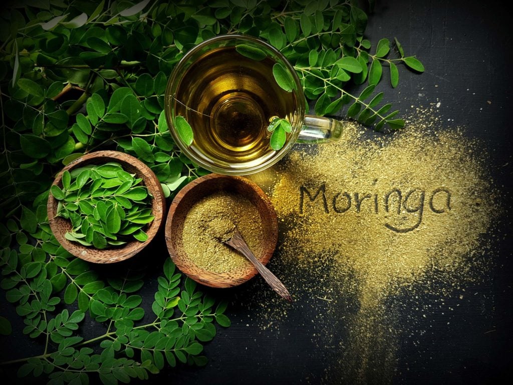 Moringa leaves, powder, and oil