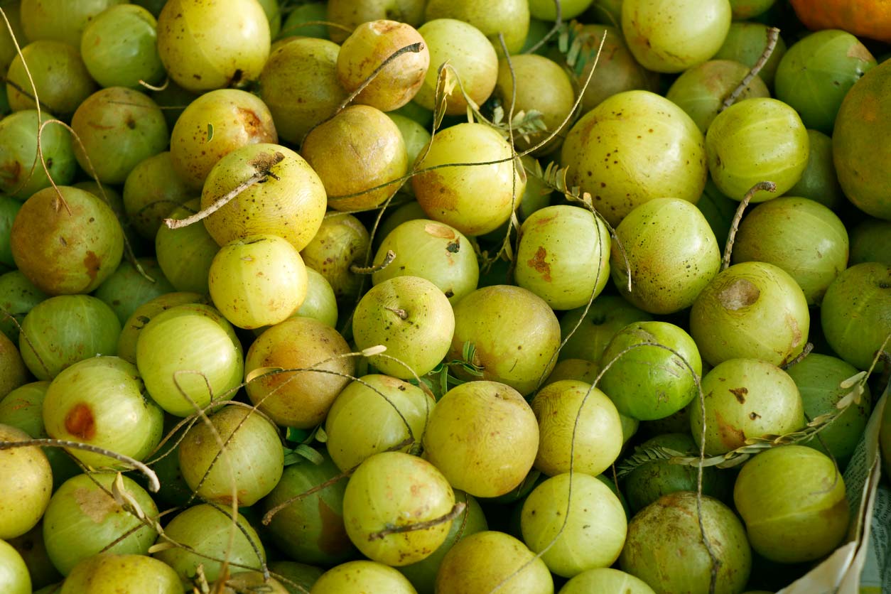 Indian gooseberry, a clean skincare ingredient