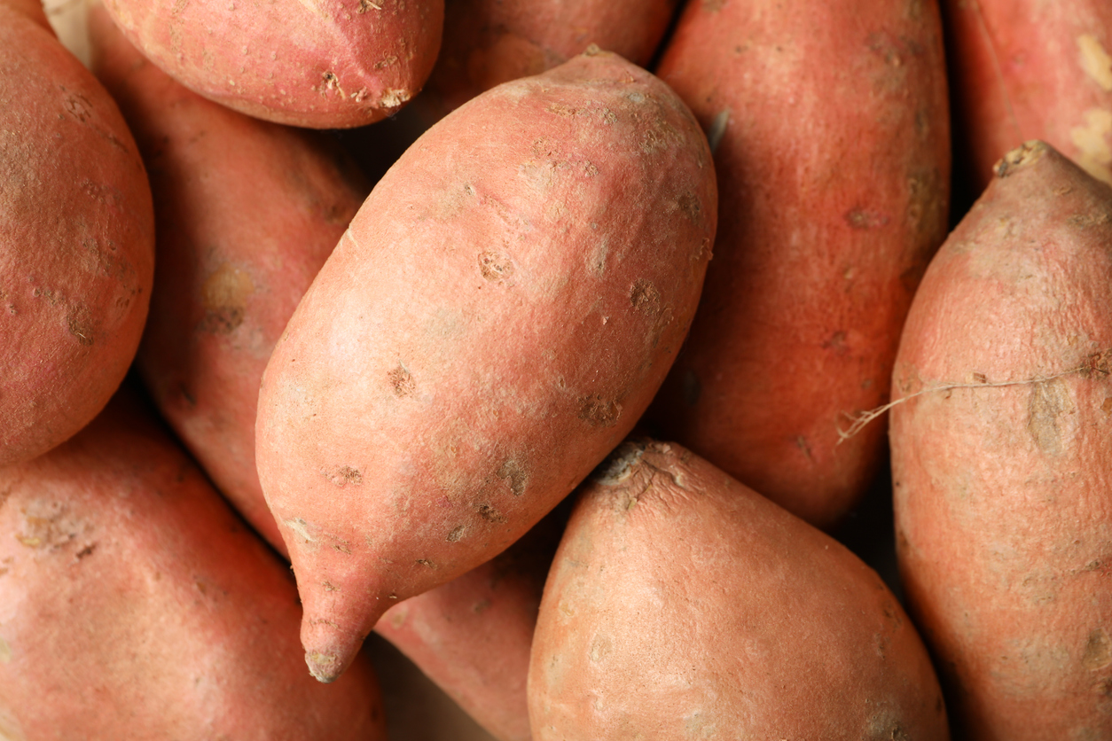 Sweet potato on whole background, close up. Vegetables