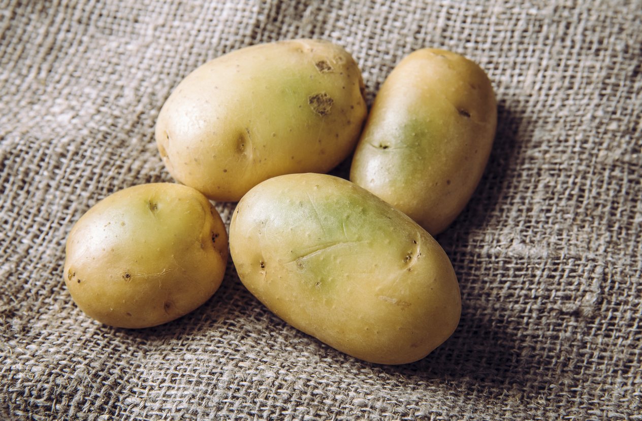 Sunlight and warmth turn potatoes skin green witch contain high levels of a toxin, solanine which can cause sickness and is poisonous. Do not buy and eat green potatoes! Heap on sackcloth.