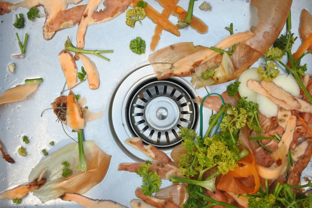 How Do You Recycle Food Scraps