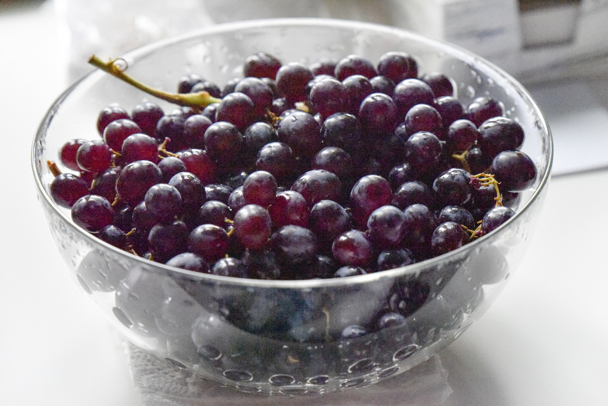 玻璃碗里的黑葡萄，滴著幾滴水。健康飲食理念。有選擇性的關注。