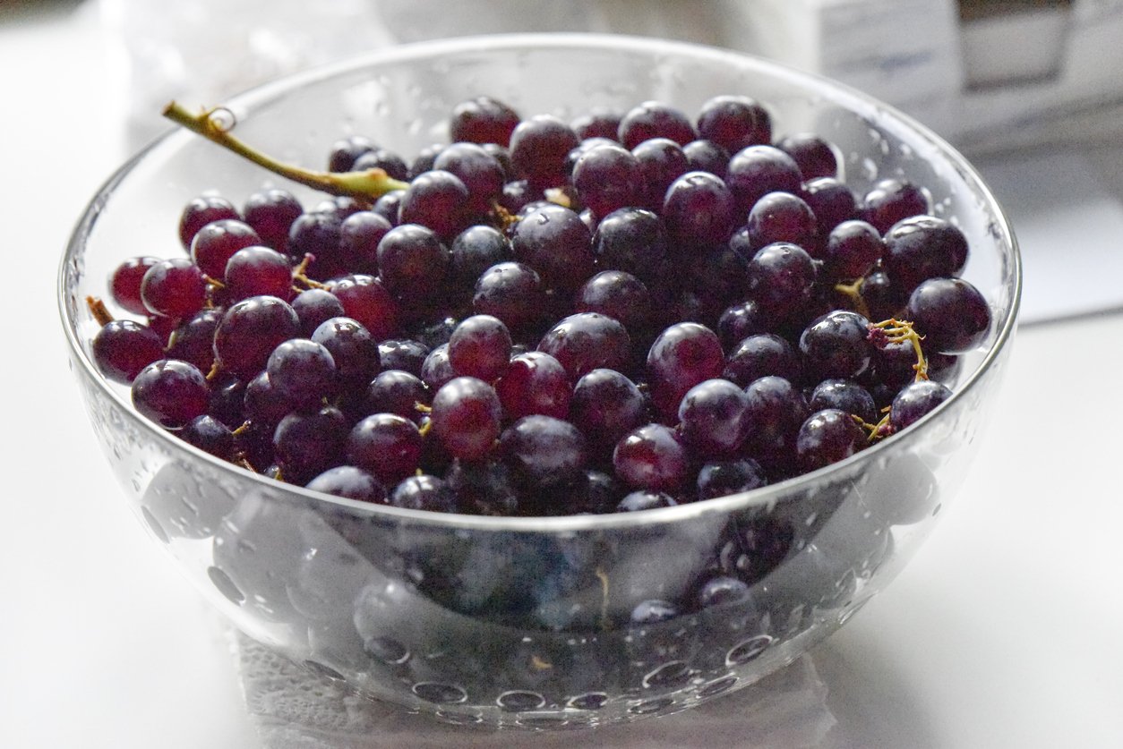 Black grape in the glass bowl with some drops of water. Healthy eating concept. Selective focus.