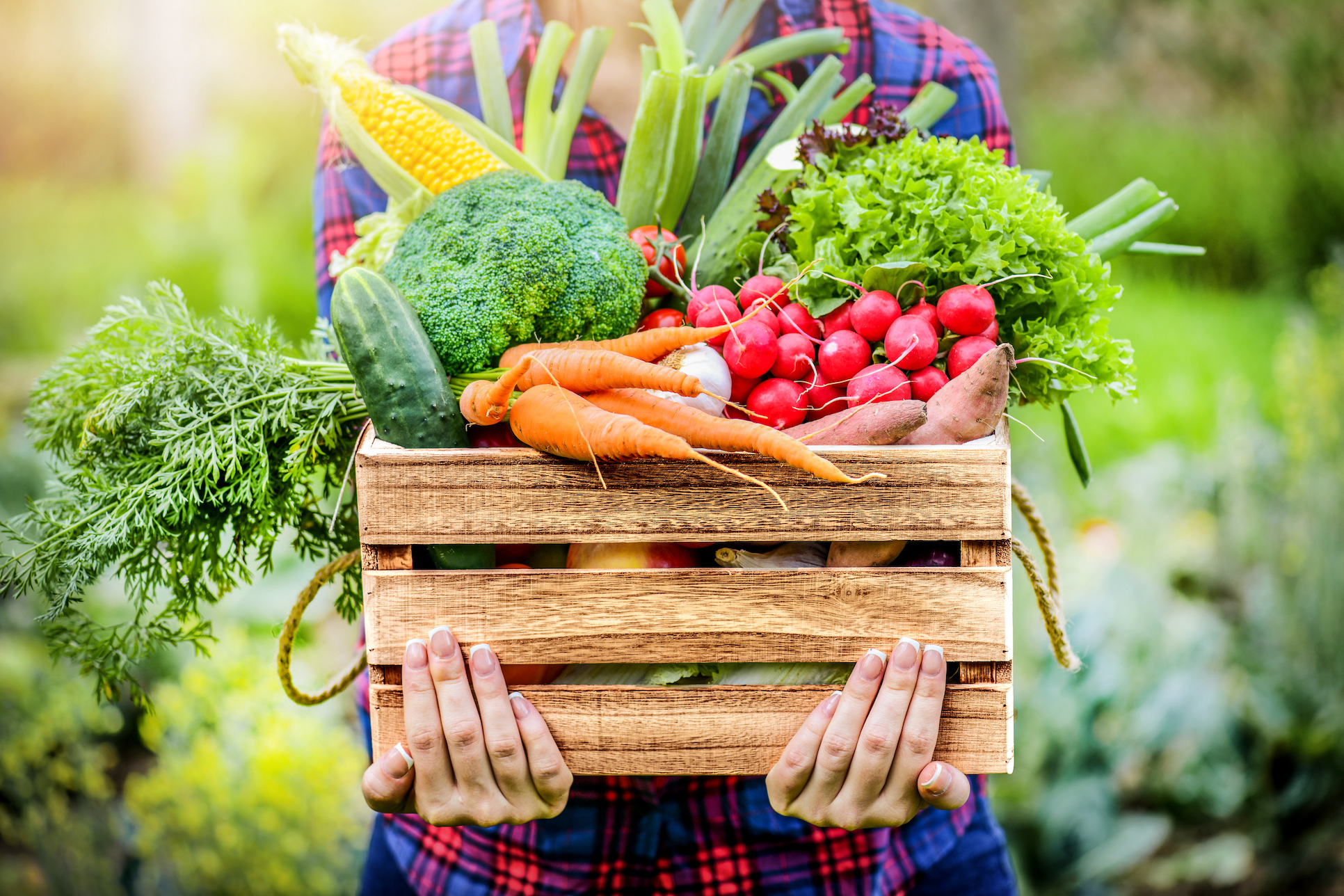 Farmer woman holding wooden box full of fresh raw vegetables.