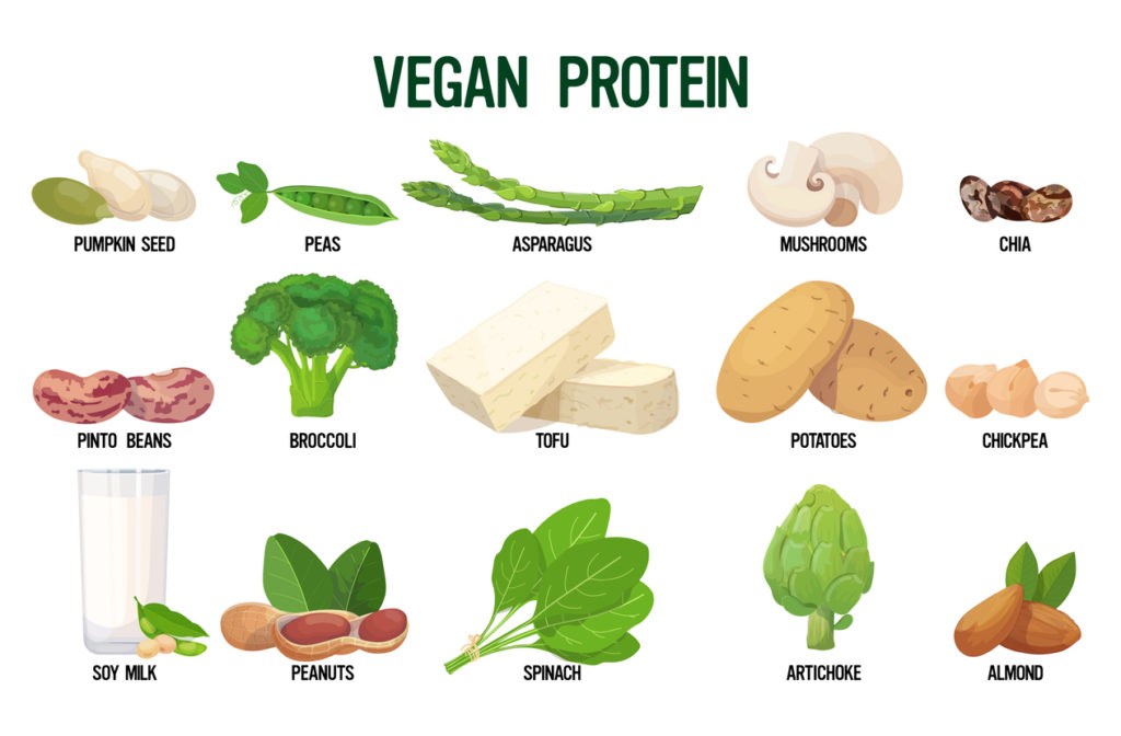 The Top 5 Vegan Myths Debunked Food Revolution Network 9369