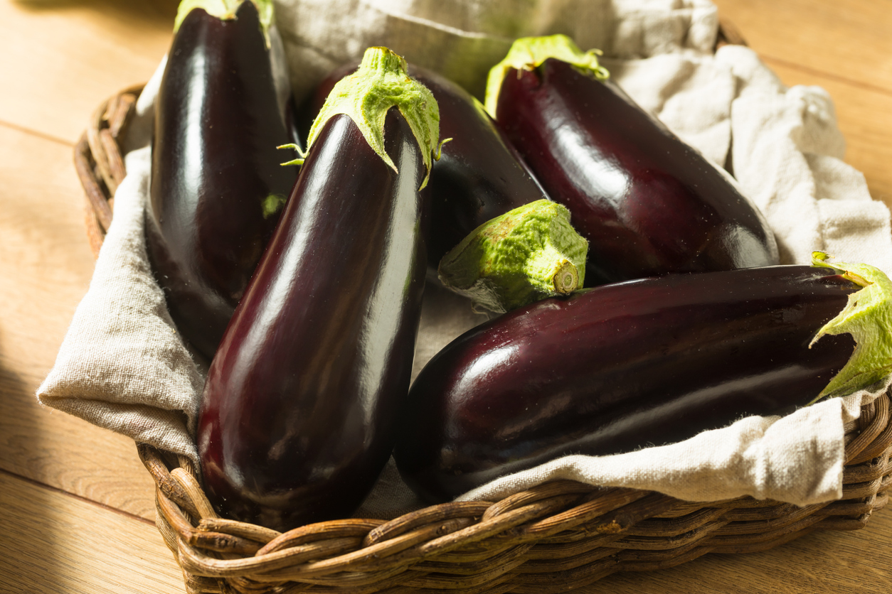 Raw Purple Organic Eggplants in a Bunch