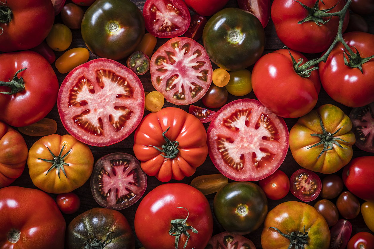 Top view of a background made with various kinds of tomatoes mixed by varieties, sizes and colors. Predominant colors are red, orange and yellow. Studio shot taken with Canon EOS 6D Mark II and Canon EF 24-105 mm f/4L