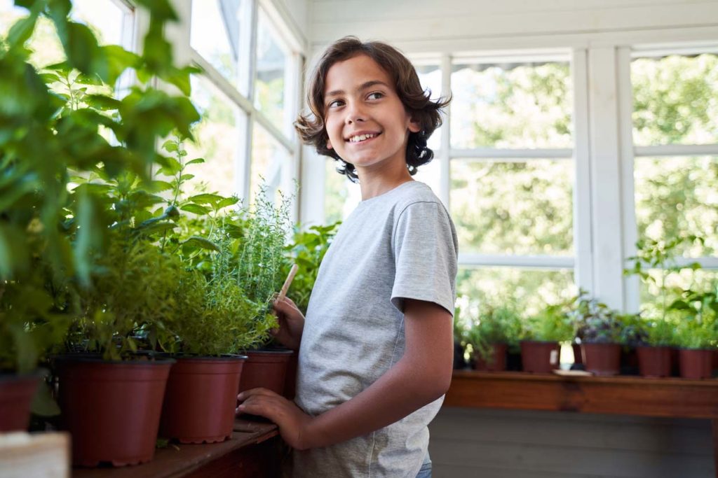 How to Start an Indoor Garden | Food Revolution Network