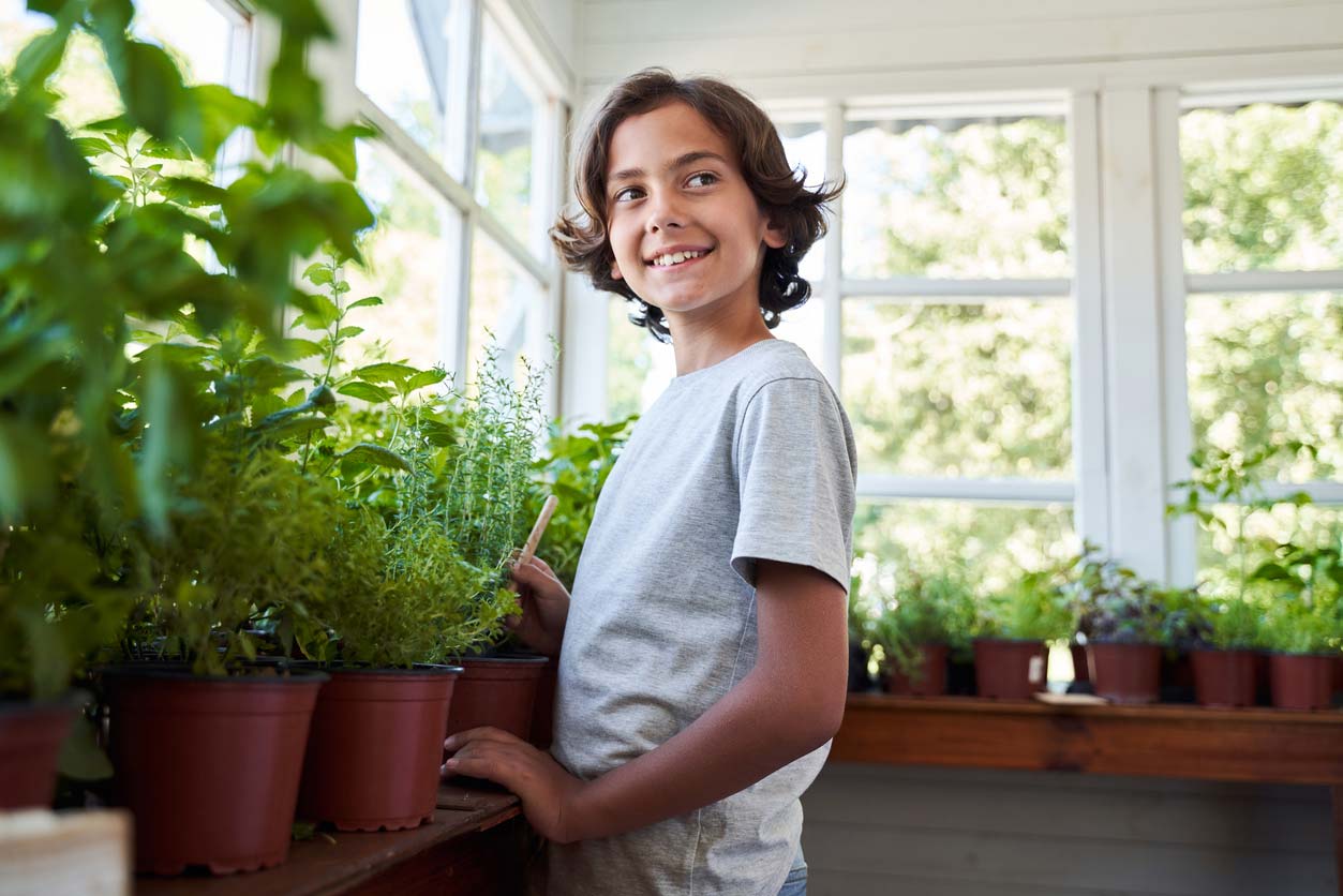 Child caring for an indoor garden