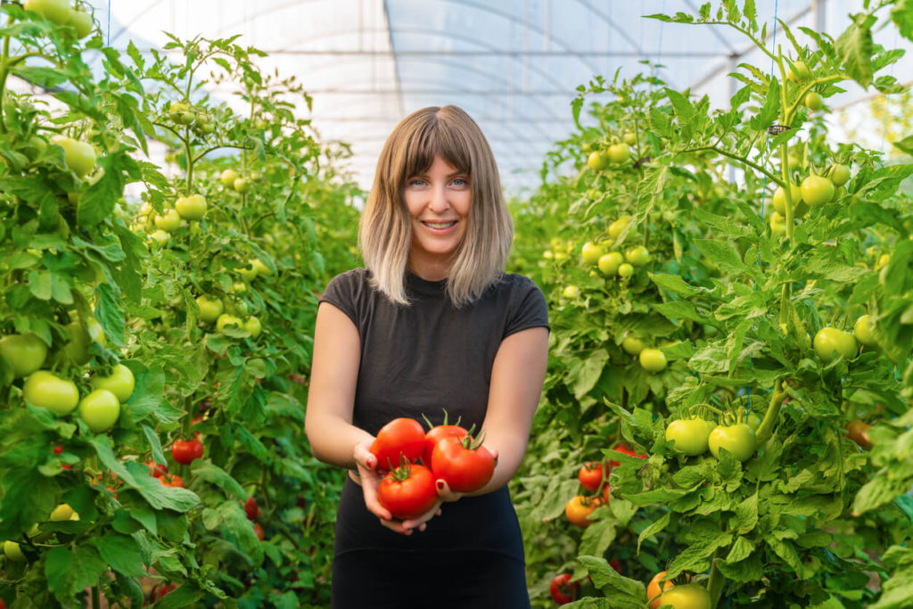 How To Grow Tomatoes With Bonus Cheat Sheet   IStock 1270694631 1024x683 