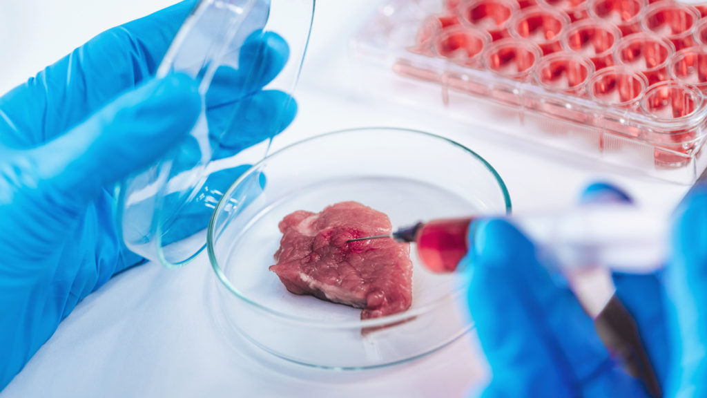 Scientist injecting red liquid with syringe into meat sample in petri dish, close-up
