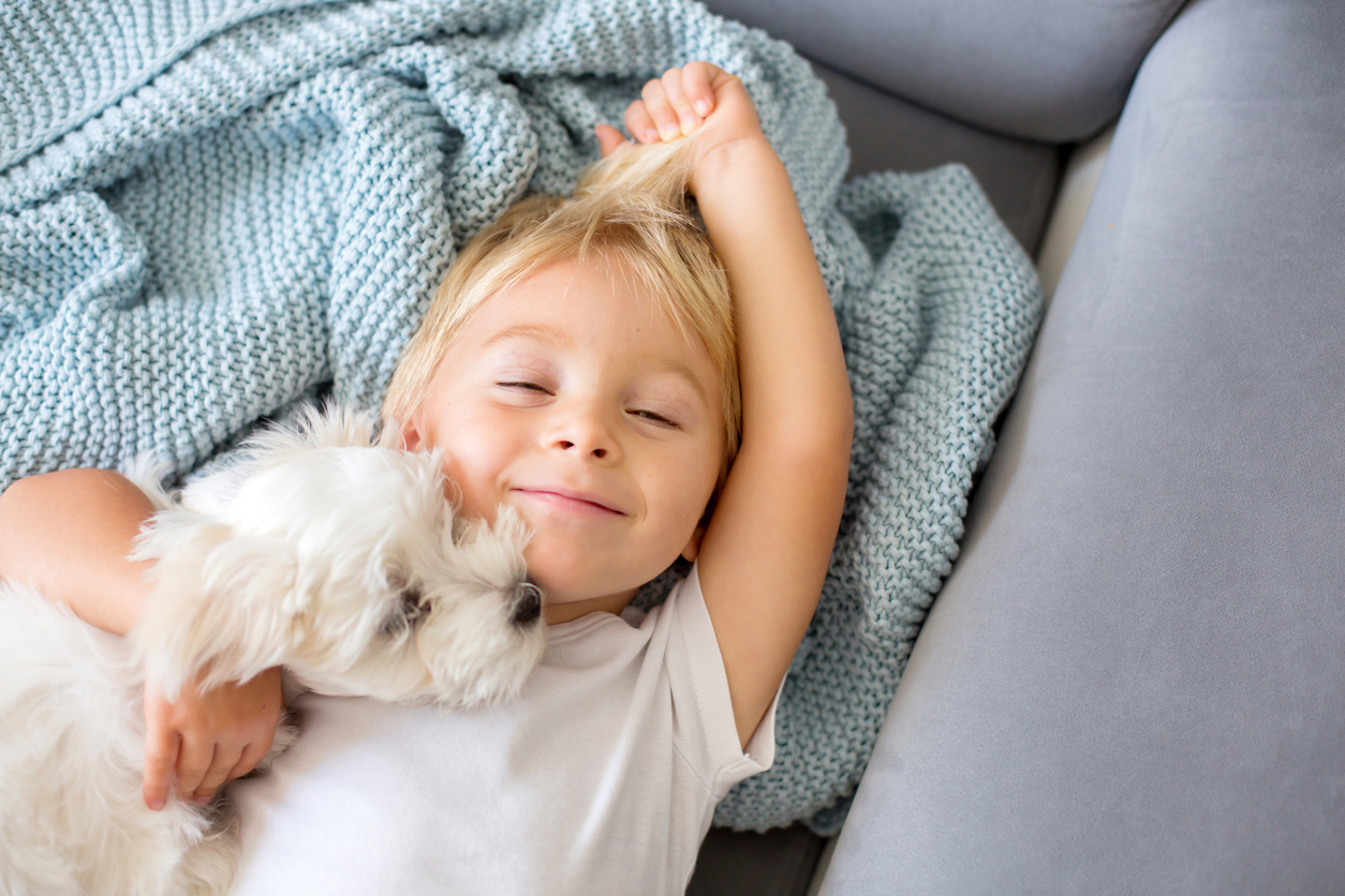 Little toddler child, boy, lying in bed with pet dog, little maltese puppy dog
