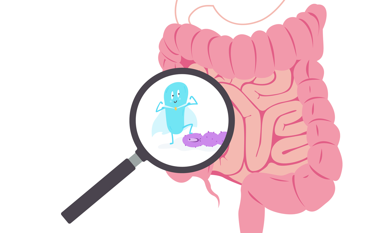 graphic of bacterial microorganism in magnifying glass on top of intestines