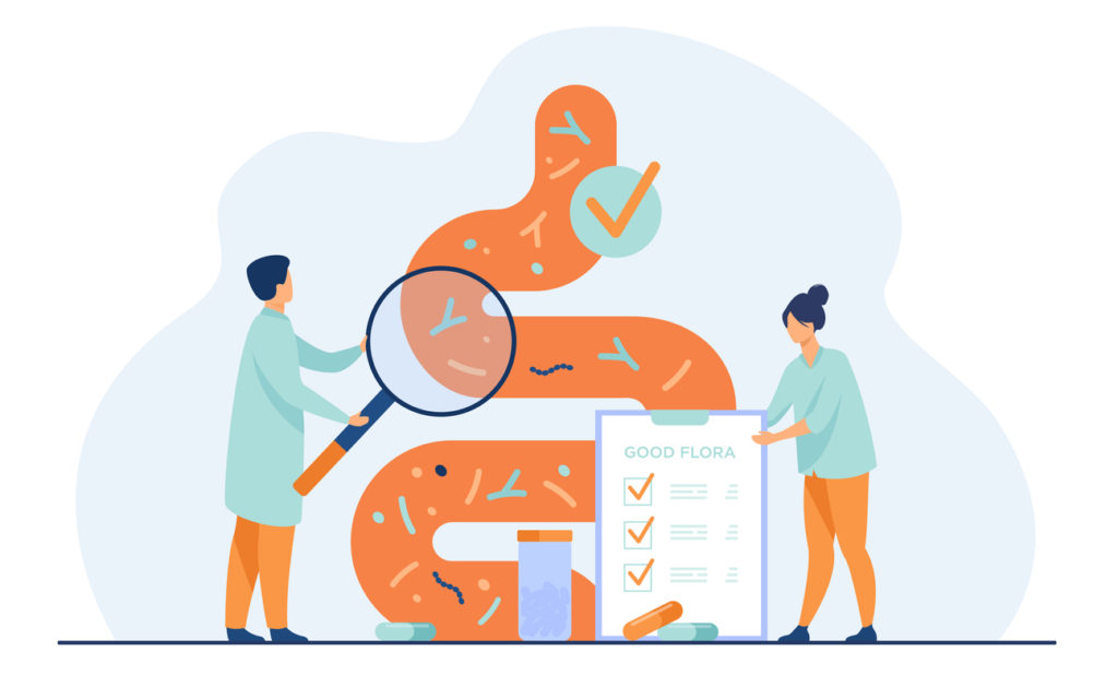 Illustration of doctors examining gut bacteria and SCFA in the intestinal tract