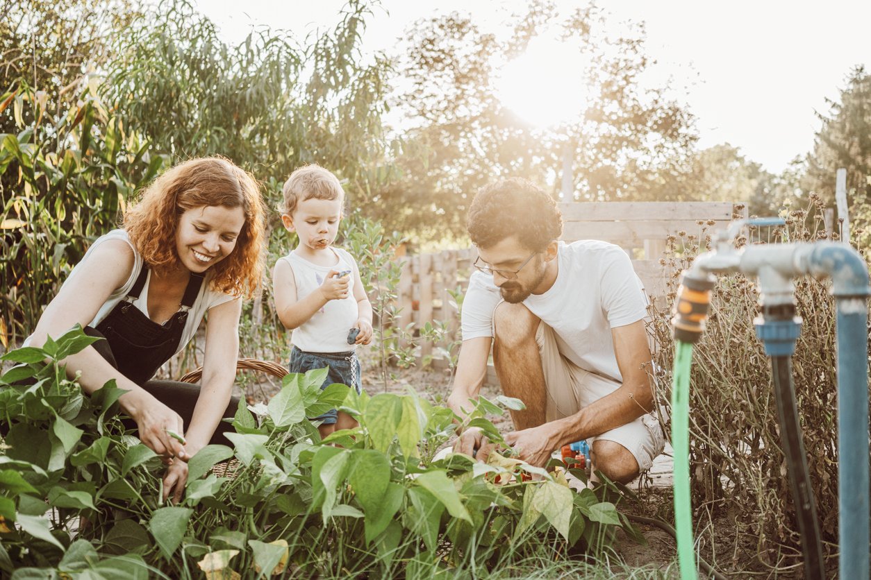 Family gardening together