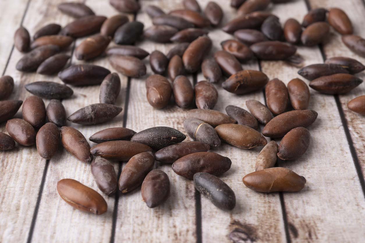 brazilian baru nuts on wooden table