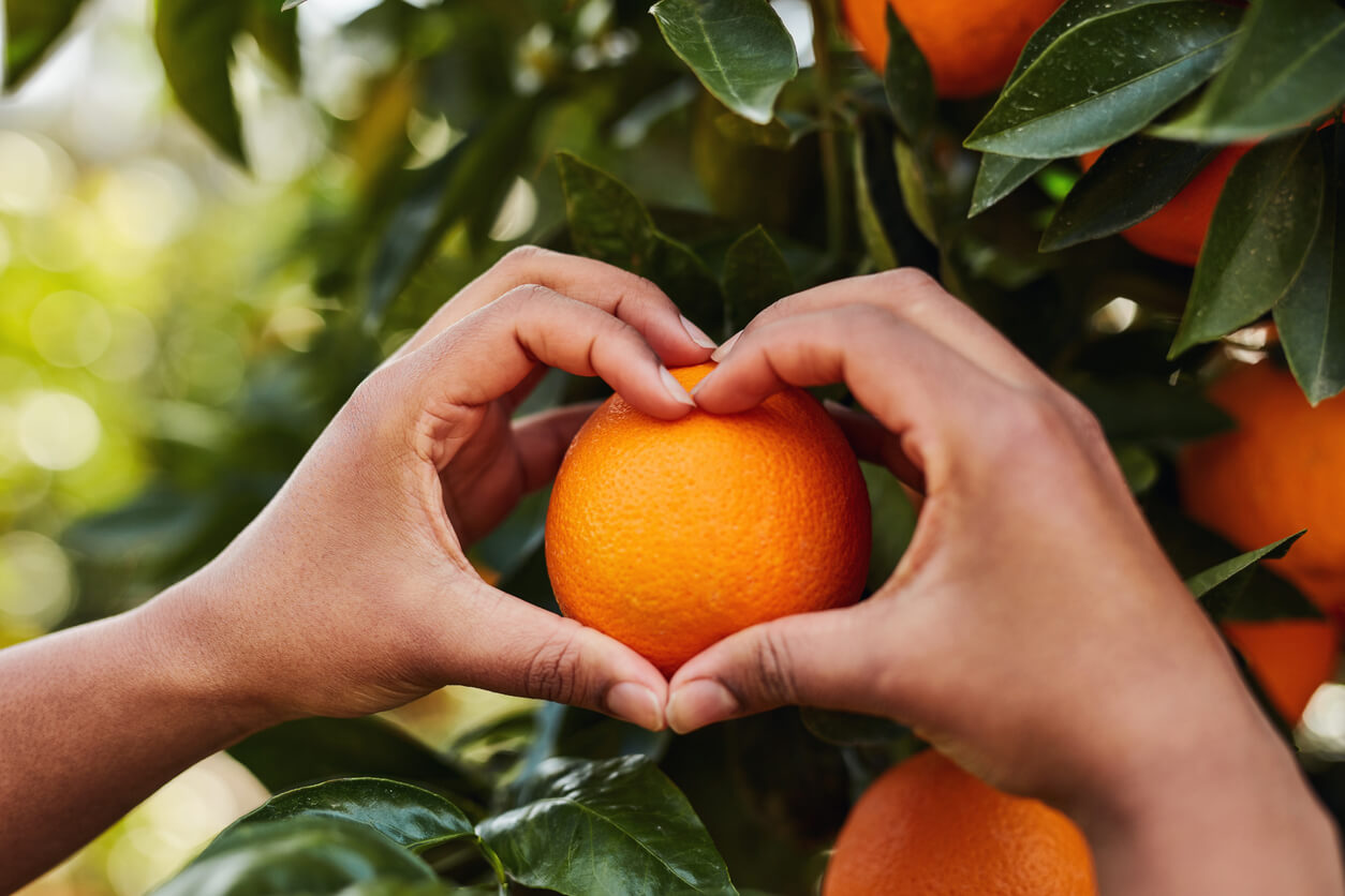 she loves her oranges