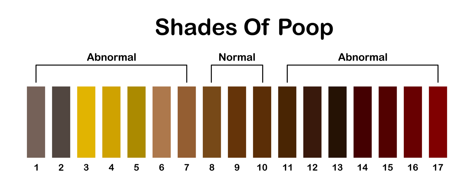 What Your Poo Says About Your Health: Infographic Reveals What The Perfect  Stool Looks Like