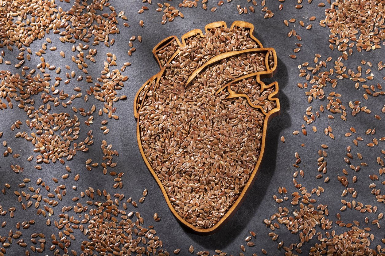 Linum usitatissimum - Flax seeds to keep the heart healthy